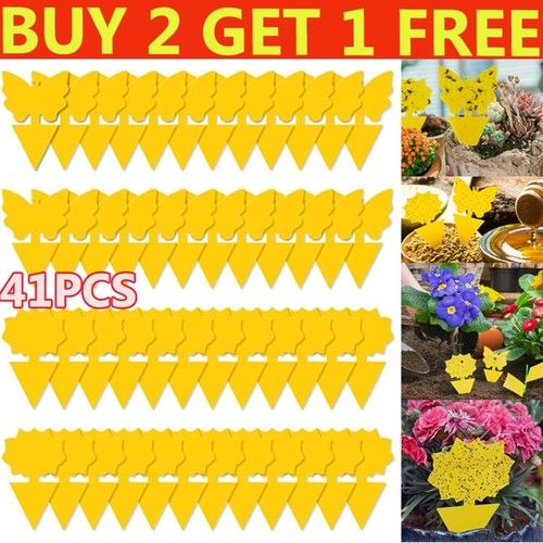 Fruit Fly Traps Yellow Fungus Gnat Killer Double-sided Sticky Fruit Fly UK
