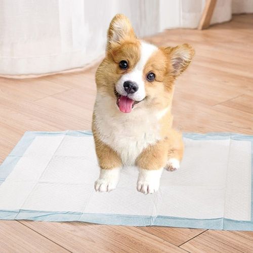 XL Puppy Dog Training Pads 60x90cm 20pcs Leak Proof Super Absorbent Pee Pads — image 2