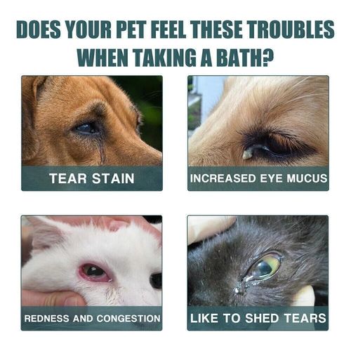 2026 Conjunctivitis Treatment Pets Eye Drops Dog Cat Horse Rabbit Eyes Care Drop — image 14