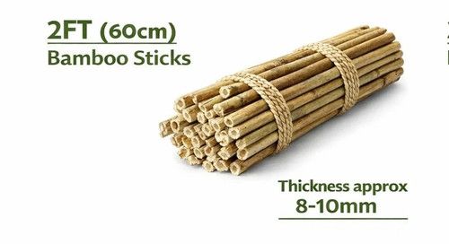 Heavy Duty Bamboo Canes Thick Strong Canes Garden Plants Support Sticks 2FT-6FT