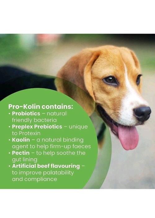 2pk Protexin Pro-Kolin Dogs Cats  Probiotic Paste Support the Gut 15Ml BBD 07.26 — image 3