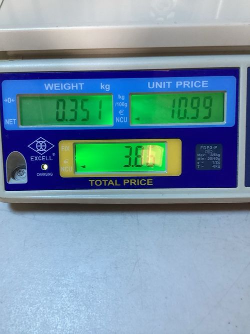 Excell FD3-P Flat Plate Weighing Scale & Pole Display -Missing Metal Plate Cover — image 5