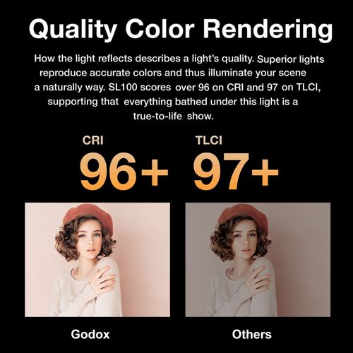 Godox SL100D 5600K Studio LED Video Light with 60x90cm Grid Softbox Light Stand — image 5