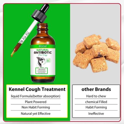 Natural Herbal Drops for Dogs 60ml, Immune Support Supplement, Skin & Gut Health — image 12