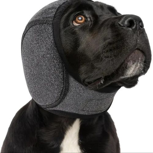 Noise-Canceling Pet Ear Muffs | Anti-Anxiety Outdoor Dog Headgear for All Breeds — image 1