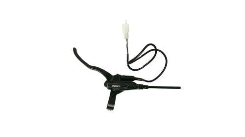Rear Brake Lever - EBox — image 1