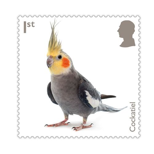 Pets Stamps Presentation Pack from Royal Mail — image 13