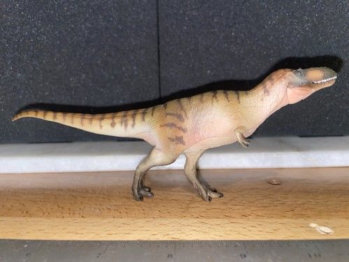PNSO, Logan The Nanotyrannus. Unboxed Model Dinosaur
