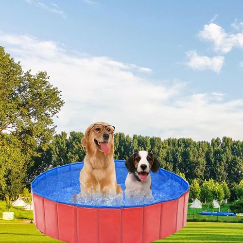 Dog Pool Pet Bath Tub With Drain Valve Swimming Pool Foldable Portable Durable — image 9