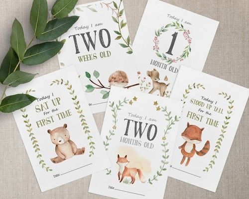 Woodland Animals Baby Milestone Cards • Memory Cards •  Baby Gift • 1st Year