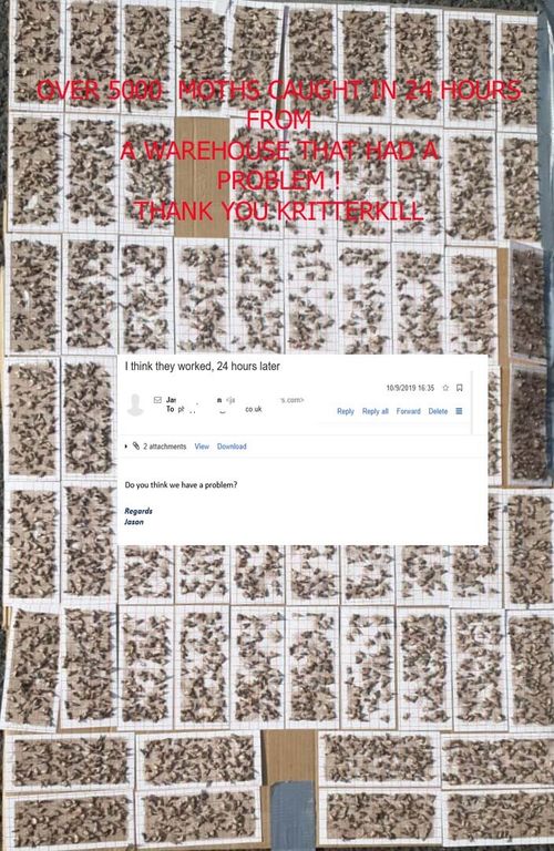 10 x CLOTHES MOTH TRAP PHEROMONE REFILLS- USE By JANUARY 2030 KRITTER KILL — image 1
