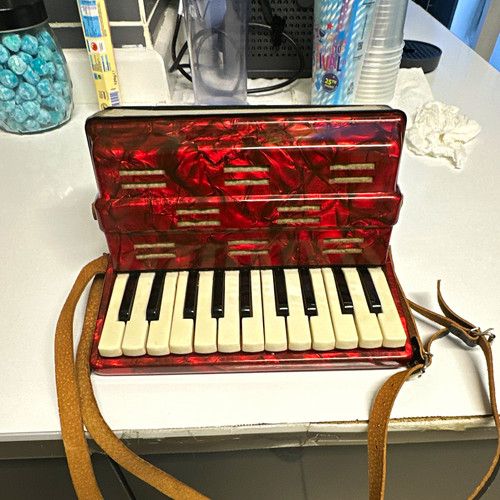Red Small Piano Accordion 17 Treble Key 12 Bass Button 1 Register w/ Strap