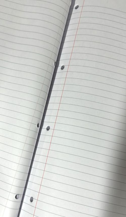 2x A4 lined Refill Pad 100 Page Notepad Memo Writing Ruled Student Office School — image 4