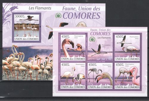 COMOROS BIRDS MNH - 54679 — image 1