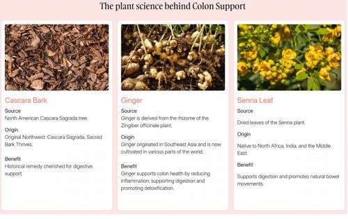 Jennah Organics Flat Belly 30-Day Colon Detox | Gut & Digestive Support — image 4