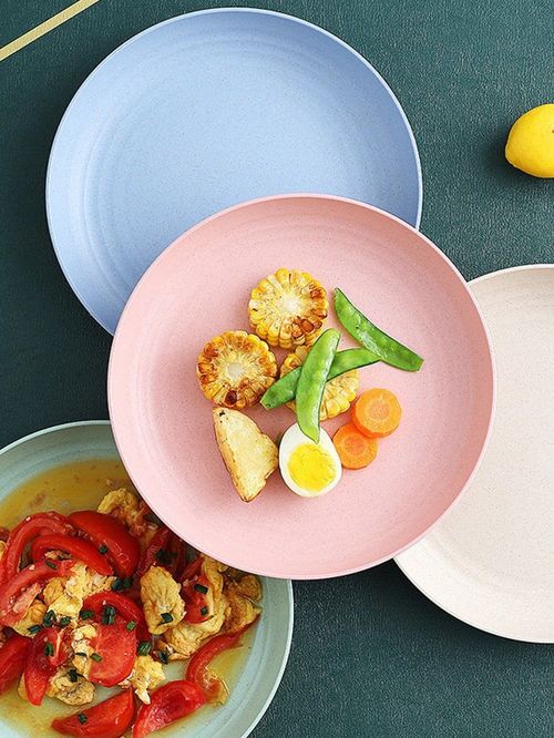 Set of 4 BT Plastic Dinner Plates Unbreakable Reusable Microwave Dishwasher Safe — image 6