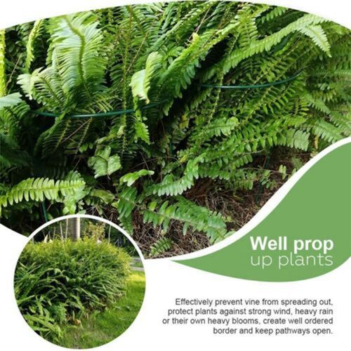 8 Pack Bow Plant Support Stakes Half Round Flower Support Ring Cage Frame Metal — image 5