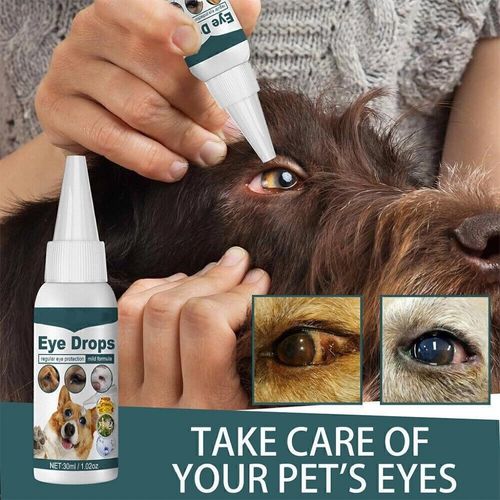 2026 Conjunctivitis Treatment Pets Eye Drops Dog Cat Horse Rabbit Eyes Care Drop — image 9