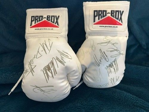 Pro-Box White Boxing Gloves – Multiple Signatures – Amateur Boxing Memorabilia