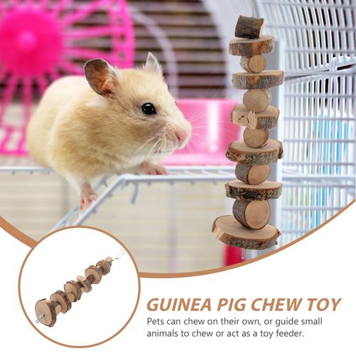 Guinea Pig Cage Accessories Rat Chew Toys Hamster Chewing Supplies — image 2