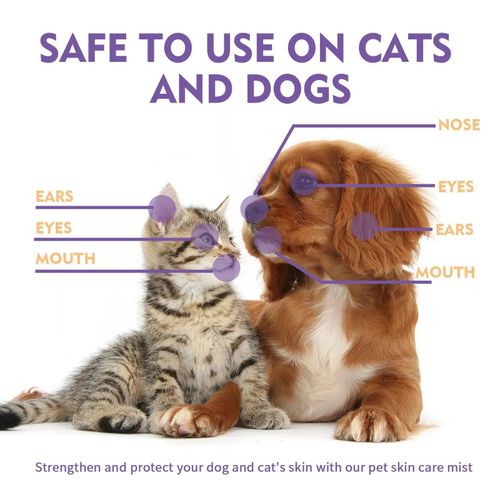 Antibiotics Dog & Cat Skin Care Spray Relief Irritation Treatments Natural Care — image 5