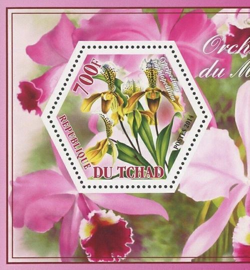 Orchid Flower Stamp Bundle Cypripedium Laeliocattleya Cattleya Cymbidium S/S MNH — image 4