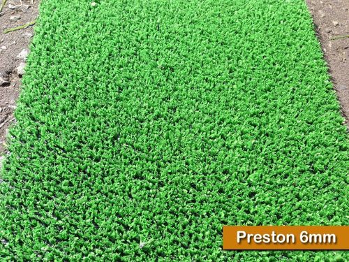 Budget Preston Artificial Grass Astro Cheap Lawn Any Size Fake Grass Turf — image 3