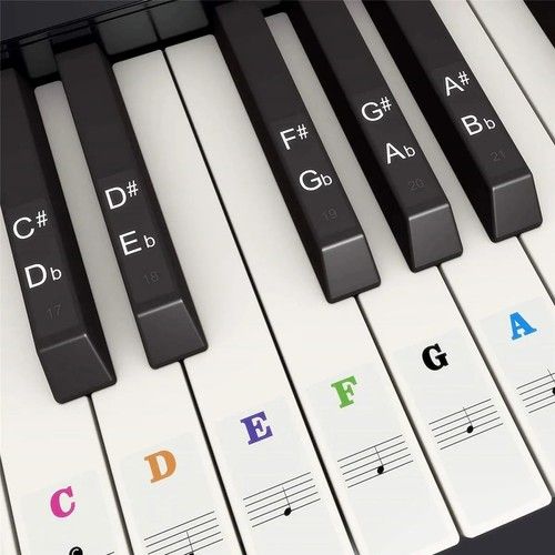 Piano Keyboard Stickers for 37/49/54/61/88 Keys White Black Note Labels Stickers