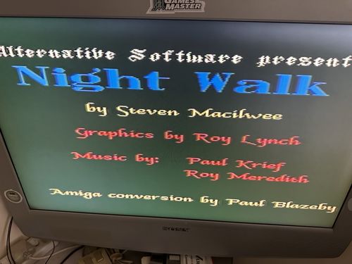 Bundle of  33 Original Full Amiga Games In A Disk Box  With Key Tested 4 Games — image 9