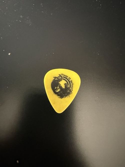 Stereophonics Stage-Used Guitar Pick 2025 – RARE Collectible