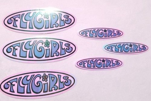 Vintage Black Flys Eyewear Fly Girls Sticker 90s Sunglasses Surf Skate Lot Of 6