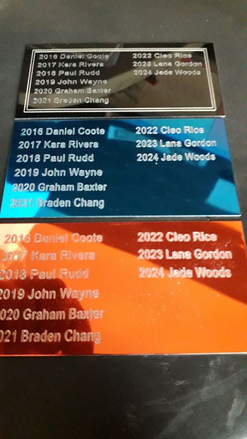 Trophy Plates Plaques UNLIMITED FREE ENGRAVING  FREEPOST — image 9