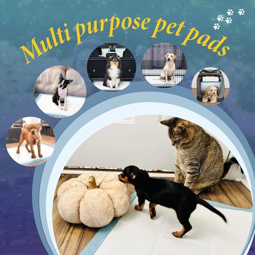 50 Large Puppy Training Pads 60x60cm Super Absorbent Dog Toilet Pads Leakproof — image 9
