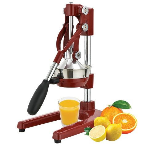 Zyle ZY5029RCJ Juicer — image 1