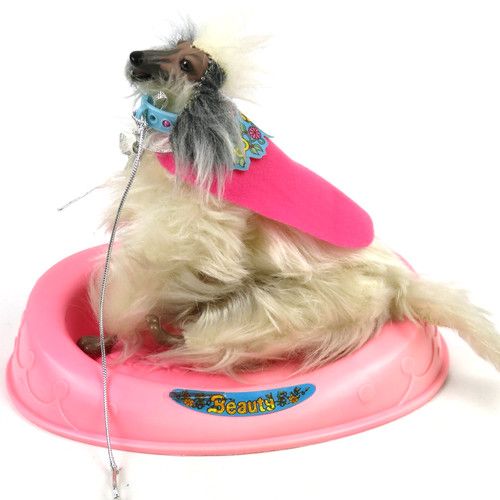 Vintage Barbie Dog Dog Beauty Afghan Mattel 1979 + Access - Miss a leg