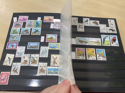 World stamps. Mostly airmails + birds.  Mint/used. Stock book @193 — image 5