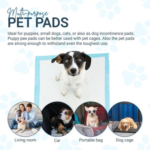 100 Large Puppy Training Trainer Train Pads Toilet Pee Wee Poo Dog Pet Cat Mats — image 6