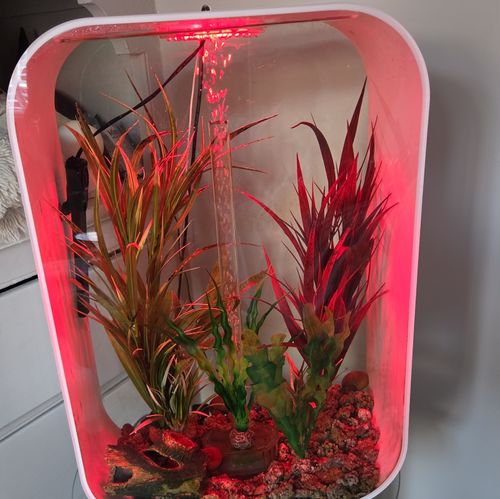 biOrb Corner 30L Acrylic Freshwater Aquarium 100s Colours LED Light — image 2
