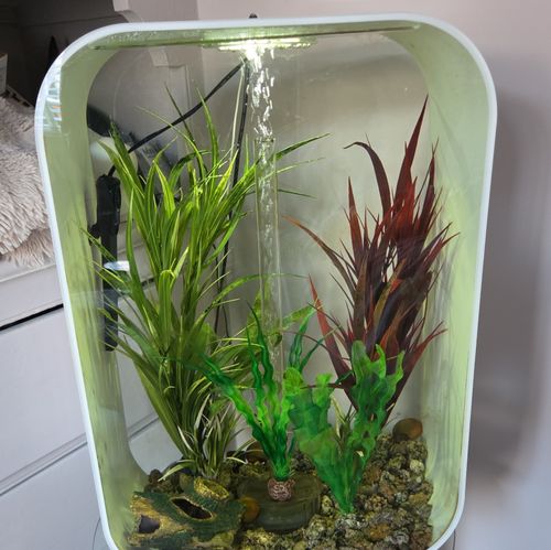 biOrb Corner 30L Acrylic Freshwater Aquarium 100s Colours LED Light — image 1