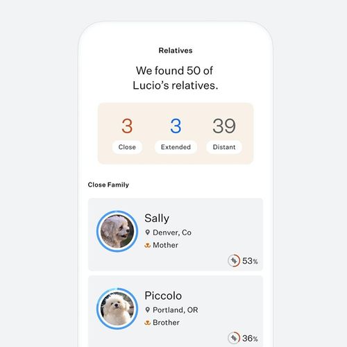 Wisdom Panel Breed Discovery Dog DNA Test Kit - Most Accurate Breed — image 3