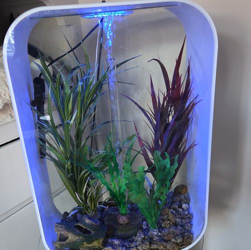 biOrb Corner 30L Acrylic Freshwater Aquarium 100s Colours LED Light — image 3