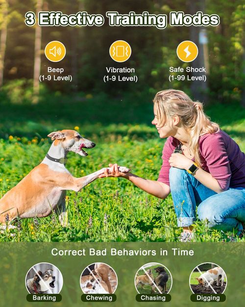 4000FT Electric Pet Dog Training E-Collar Anti-Bark Obedience Remote Control NEW — image 3