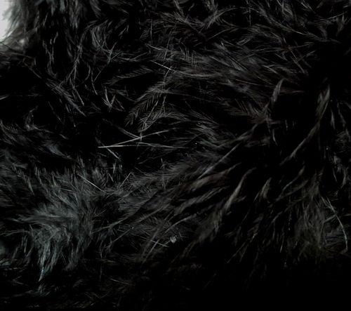 Feather Trim Marabou Swansdown String 40mm Various Length — image 1