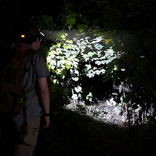 Goodyear Head Light Torch Lamp Headlamp Cree LED Rechargeable Flashlight — image 12