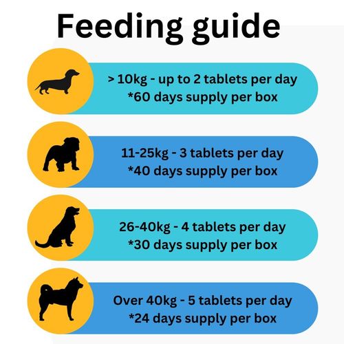 UTI Treatment For Dogs | Liver & Bladder Function | Incontinence | 120 Tablets  — image 5