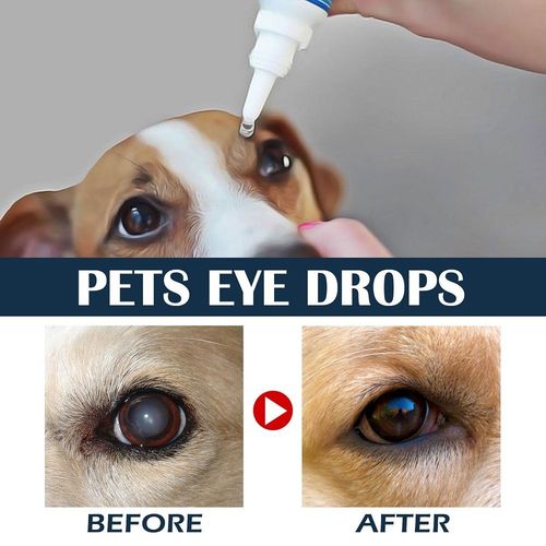 Pet Eye Drops Cataract Drops For Pet Eye Lubricant Drop Lanosterol Solution 10ml — image 9