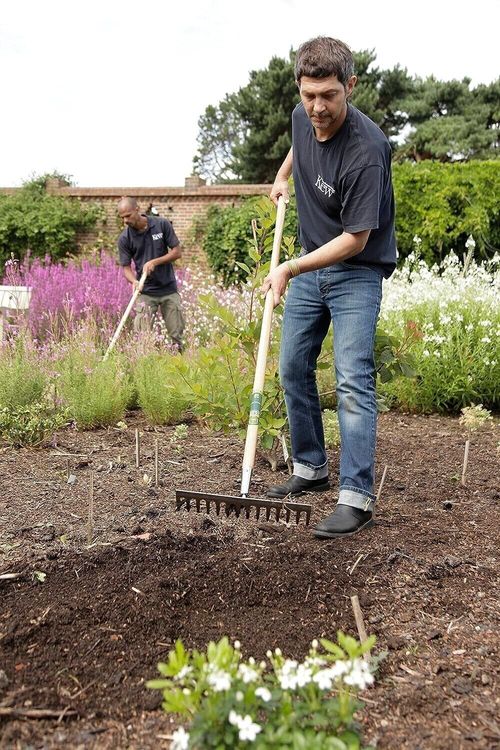 Spear & Jackson Kew Gardens 3980KEW Neverbend Stainless Steel Garden Rake — image 3