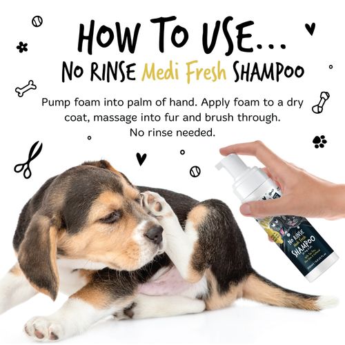 No Rinse Dog Shampoo Quick Dry Foam Dispenser All Breeds 200ml Bugalugs Pet Care — image 8