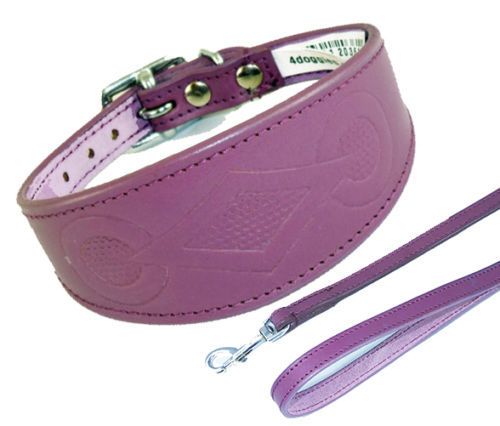 Whippet Greyhound Leather Collar Handmade Dog Collar Padded Backing RETRO