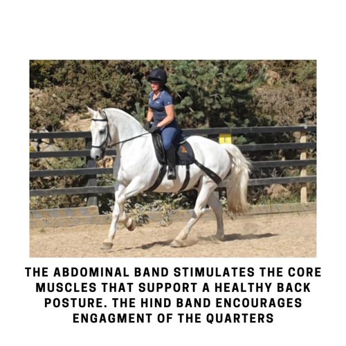 Equine Band Core Conditioning Saddle Pad Conversion Kit — image 7